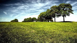 CANCIONES CRISTIANAS CON LETRA  Alabanzas Espiritu Santo  Musica Del Cielo [upl. by Rosco]