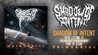 Shadow Of Intent  The Prelude To Bereavement Official Stream [upl. by Hpesoy]