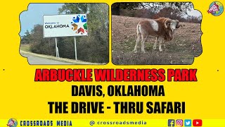 ARBUCKLE WILDERNESS PARKDavis OklahomaTHE DRIVETHRU SAFARI Crossroads Media [upl. by Dianna]