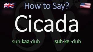 How to Pronounce Cicada British Vs American Pronunciation  Spanish [upl. by Billat]