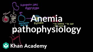 Anemia pathophysiology  Hematologic System Diseases  NCLEXRN  Khan Academy [upl. by Paddy834]