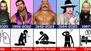 Recent WWE Wrestlers Deaths [upl. by Galatia296]