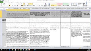 How to Create a Literature Matrix Excel [upl. by Hovey344]