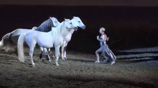 Liberty with 3 horses  Sylvia Zerbini  Night of the Horse 2016  Del Mar National Horse Show [upl. by Mcclain]