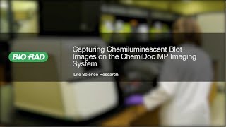 How to Use the New ChemiDoc MP for Chemiluminescent Western Blot Imaging [upl. by Ybok]