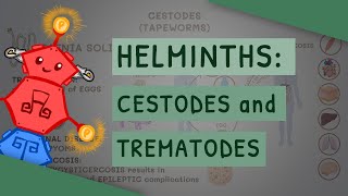 Helminths Cestodes and Trematodes transmission clinical importance and treatment [upl. by Enyamrahs575]