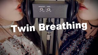 ASMR Twin Breathing amp Ear Blowing with Inhaling 😂 [upl. by Dorris]