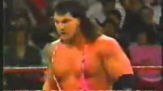 Steiner Brothers WWF Debut [upl. by Ellehsar]