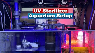 UV Sterilizer for Aquarium  Reef Tank setup [upl. by Ferretti314]