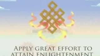 The Eight Auspicious Symbols of Buddhism  New Kadampa Tradition [upl. by Valina]