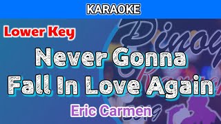 Never Gonna Fall In Love Again by Eric Carmen Karaoke  Lower Key [upl. by Nairim]