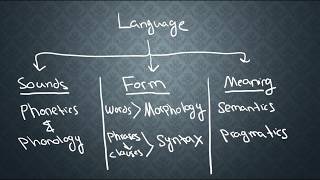 SEMANTICS1 What is Semantics [upl. by Esilram]