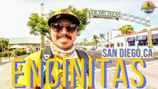 TOP THINGS TO DO IN ENCINITAS CALIFORNIA  San Diego Travel Guide [upl. by Encrata25]