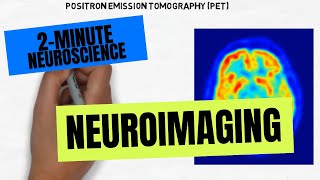 2Minute Neuroscience Neuroimaging [upl. by Ariek]