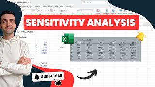 Sensitivity Analysis  Microsoft Excel [upl. by Malena]