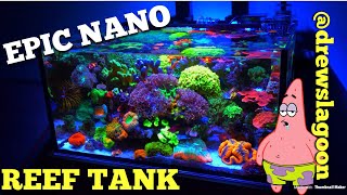 Epic Nano Reef Tank drewslagoon [upl. by Culosio]