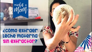 ¿Cómo extraer leche materna sin extractor [upl. by Toback571]