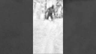 Dyatlov Pass Incident Unsolved Mysteries amp Chilling Secrets Revealed [upl. by Eelrihs199]