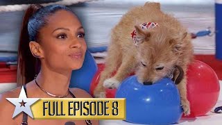 Dog act BREAKS Guinness World Record  Britains Got Talent  Series 9  Episode 8  FULL EPISODE [upl. by Nigel]