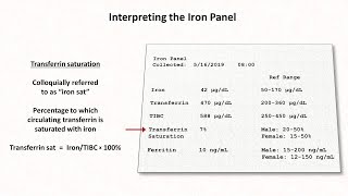 Anemia Lesson 2  Interpreting the Iron Panel [upl. by Hnahym]