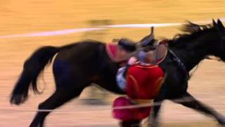 Ukraine Cossacks at Olympia Horse Show [upl. by Atsed]