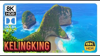 Nusa KELINGKING BEACH Penida 8K HDR Bali TRex View [upl. by Nythsa]