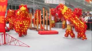 Chinese Dragon Dance Performance [upl. by Jeffie431]