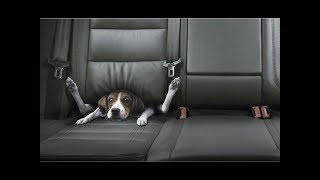 Best Car Commercials Ever  Greatest Car Ads All Time  The Used Car Guy [upl. by Bbor]