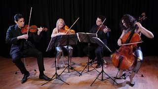 Hava Nagila  Jewish Traditional  GIARDINO STRINGS QUARTET [upl. by Nove]