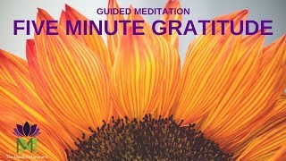 5 Minute Guided Meditation for Gratitude  Mindful Movement [upl. by Boatwright]