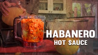 How to Make Habanero Pineapple Fermented Hot Sauce or Mango [upl. by Haimrej]