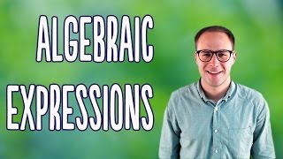 Algebraic Expressions Basics [upl. by Corel279]