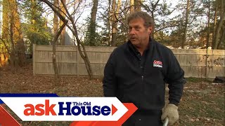 How to Remove Tree Stumps  Ask This Old House [upl. by Cissie]