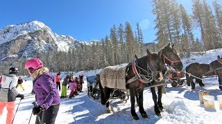 The hidden valley Alta Badia a ski run ending with a horse tow [upl. by Nyrmac806]