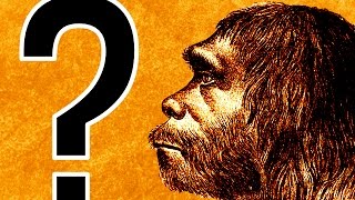 What if Neanderthals Didnt Go Extinct [upl. by Hartley]