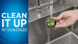 How do I clean my Pet Stain Eraser™ after I use it [upl. by Haidadej701]