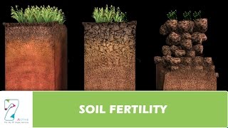 SOIL FERTILITY [upl. by Eimile]