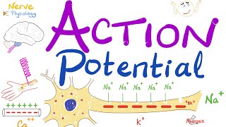 Action Potential  Most COMPREHENSIVE Explanation  Nerve Physiology [upl. by Sandie]