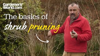 The basics of shrub pruning [upl. by Yendic]