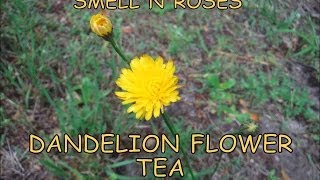 How to Prepare Dandelion Flower Herbal Tea [upl. by Akirej870]