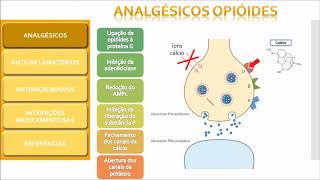 AULA FARMACOLOGIA PARTE 1 ANALGÉSICOS OPIÓIDES [upl. by Hallutama85]