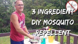 3 Ingredient DIY Mosquito Repellent [upl. by Alamap587]