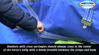 Horse Blanketing Tips How To Fit A Blanket [upl. by Mcconaghy]