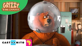 Grizzy and the Lemmings  Zorbing  Cartoonito Africa [upl. by Patrick605]