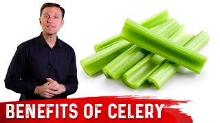 Top 11 Health Benefits of CELERY – Dr Berg [upl. by Derr848]