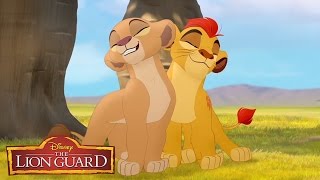 The Lion Guard quotHakuna Matataquot Song From The Lion King 🎶  disneyjr [upl. by Crifasi]