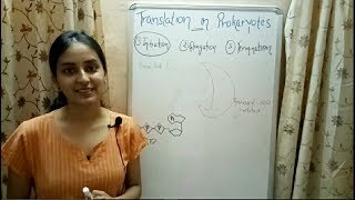 Translation in Prokaryotes  Biology Lecture 11 [upl. by Yrakaz]