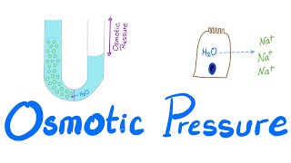 Gilbert Syndrome  Causes Genetics Pathogenesis Signs amp Symptoms Diagnosis Treatment [upl. by Eneleahcim]