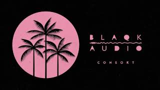 Blaqk Audio  Consort Official Audio [upl. by Dobbins]