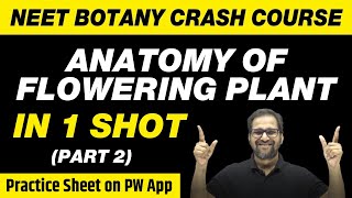 Anatomy of Flowering Plants in 1 Shot Part 2  All Theory Tricks amp PYQs  Class 11  NEET [upl. by Eneleoj]